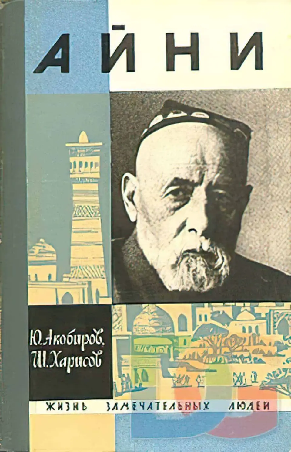 Айни Али, турецкий сановник