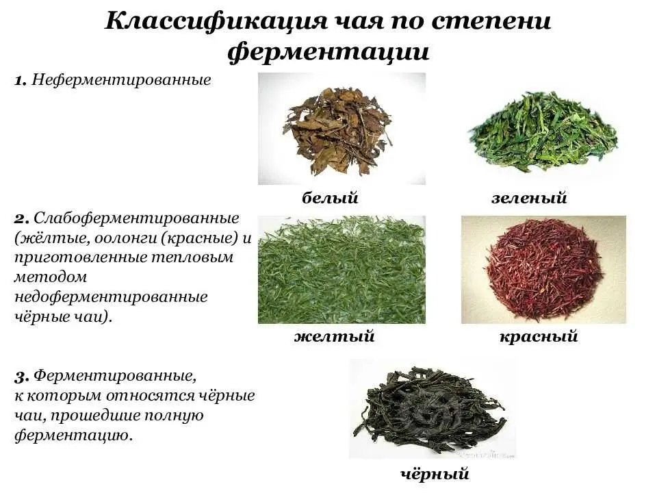 Чай в Турции: особенности турецкого чая и его отличия от других видов — фото 2