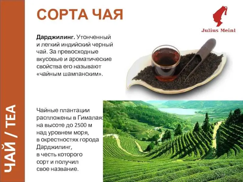 Чайные сокровища Турции: потрясающие сорта и ароматные смеси — фото 4